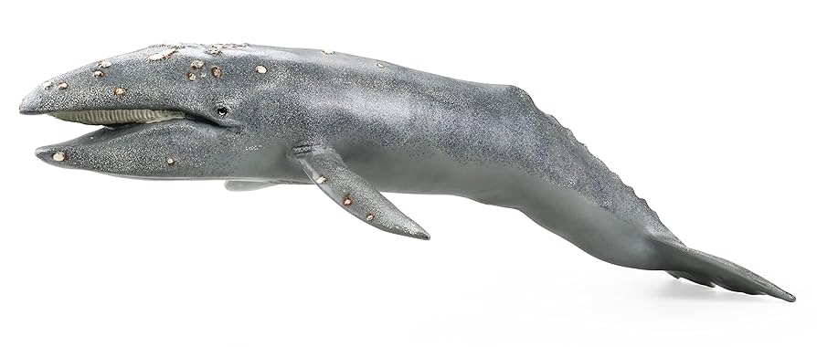 Amazon.com: Gemini&Genius Sea Animal Gray Whale, Large Grey